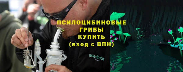 соль ск Арсеньев