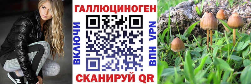 Галлюциногенные грибы Magic Shrooms как найти наркотики Оса