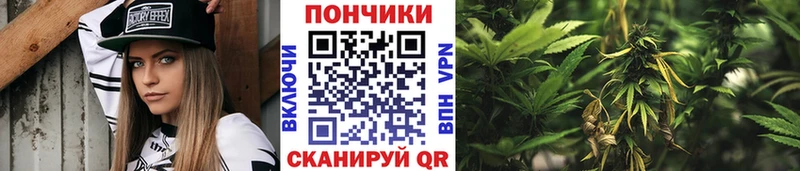 хочу   Оса  гидра ONION  Канабис White Widow 